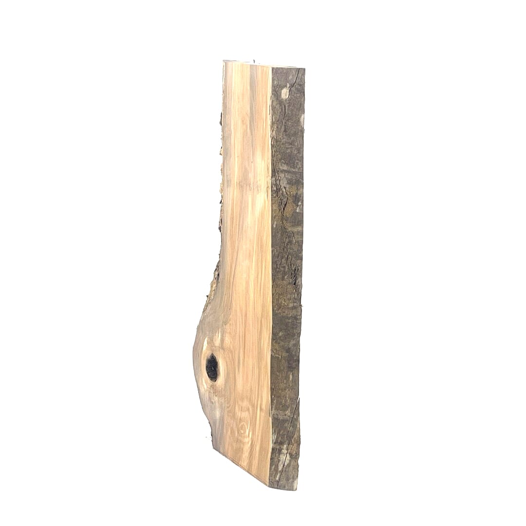 Sassafras , Small Slabs, 495 X 220 X 23, Leg set, , Back Side