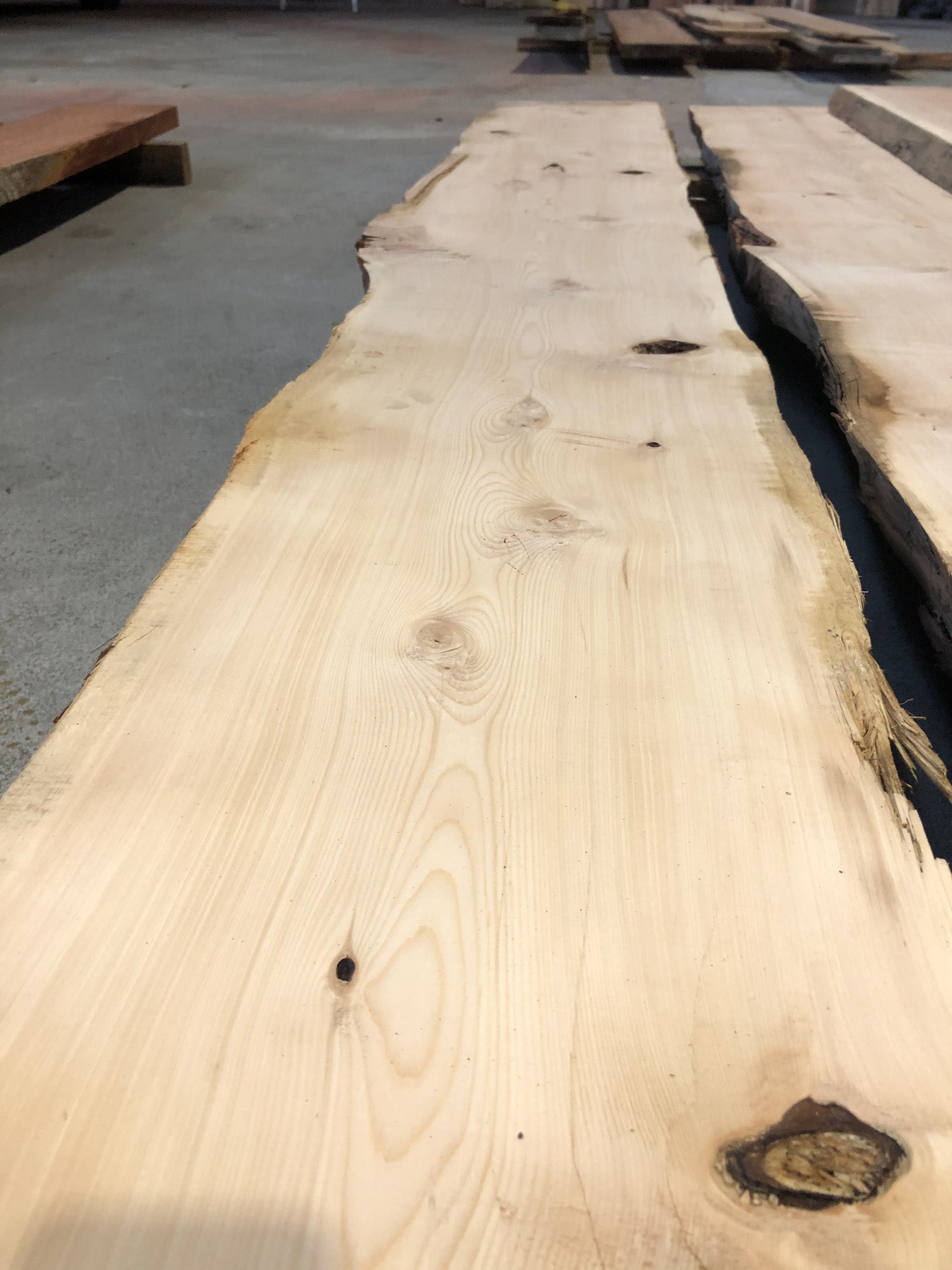 Celery Top Pine Adelaide