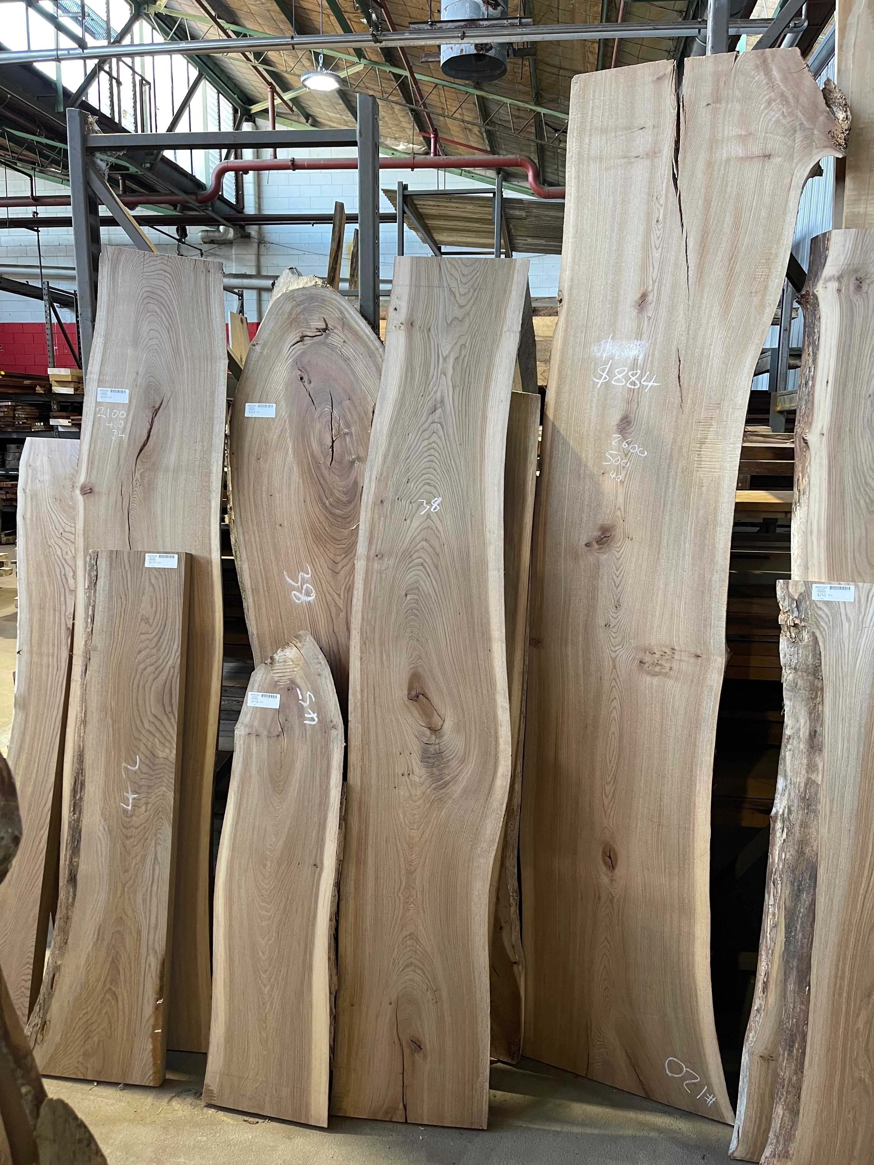 Elm Timber Slabs