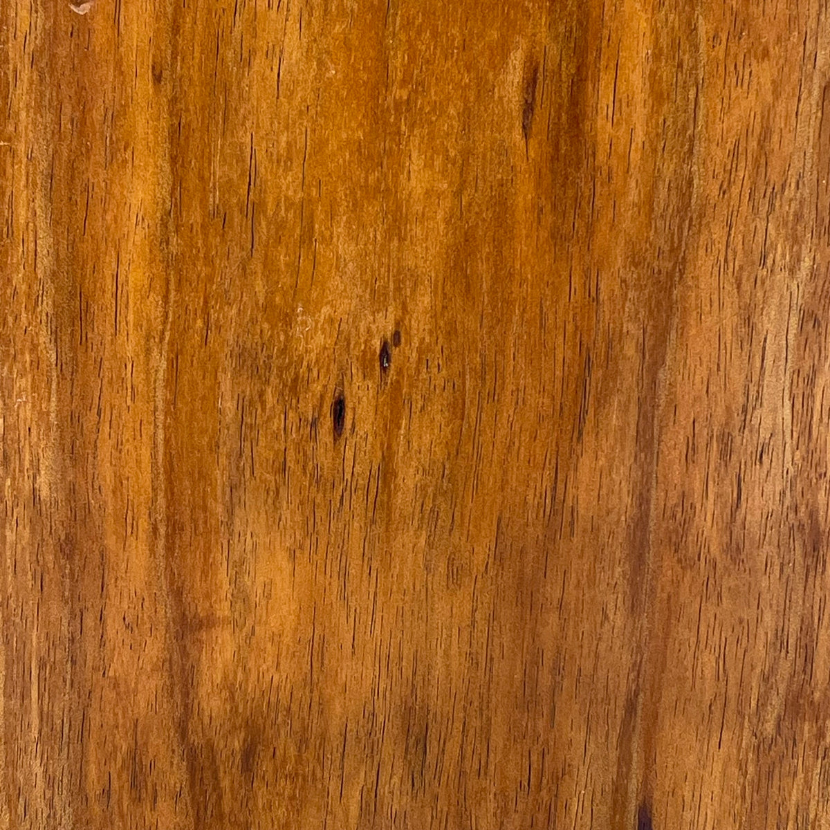 Mountain River Timber