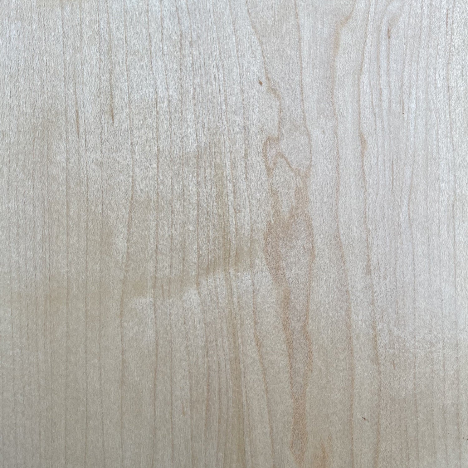 Rock Maple