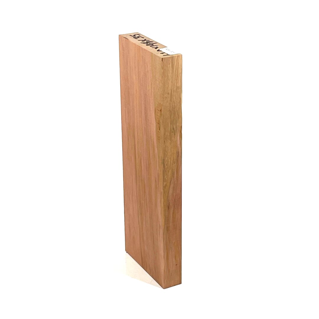Myrtle, Board DAR, 405 X 148 X 35, , Back Side
