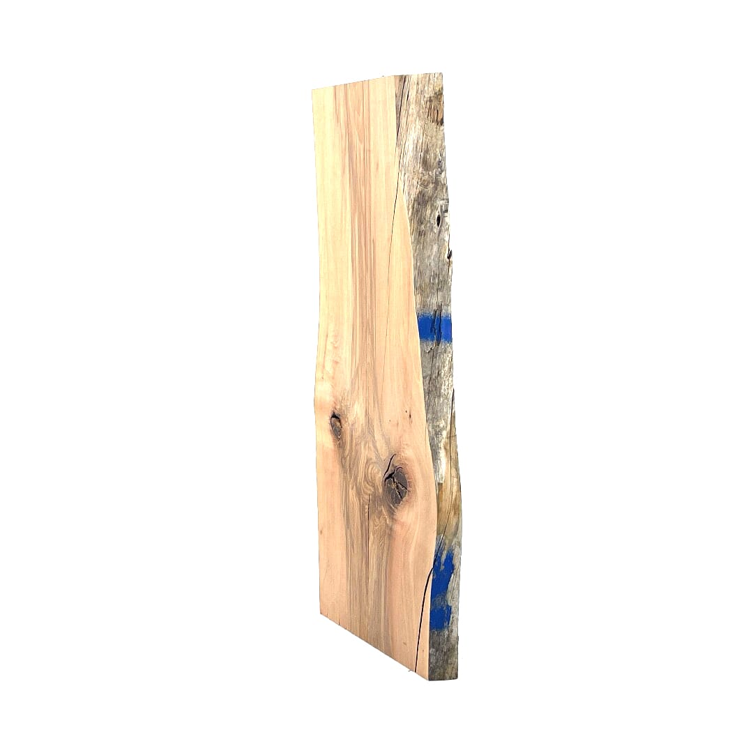 Giant Ti Tree, Small Slabs, 635 X 260 X 30, Leg set, , Back Side