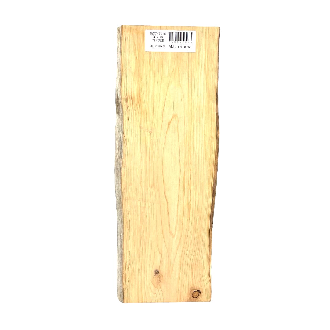 Macrocarpa , Small Slabs, 500 X 190 X 34, Leg set, , Front Side