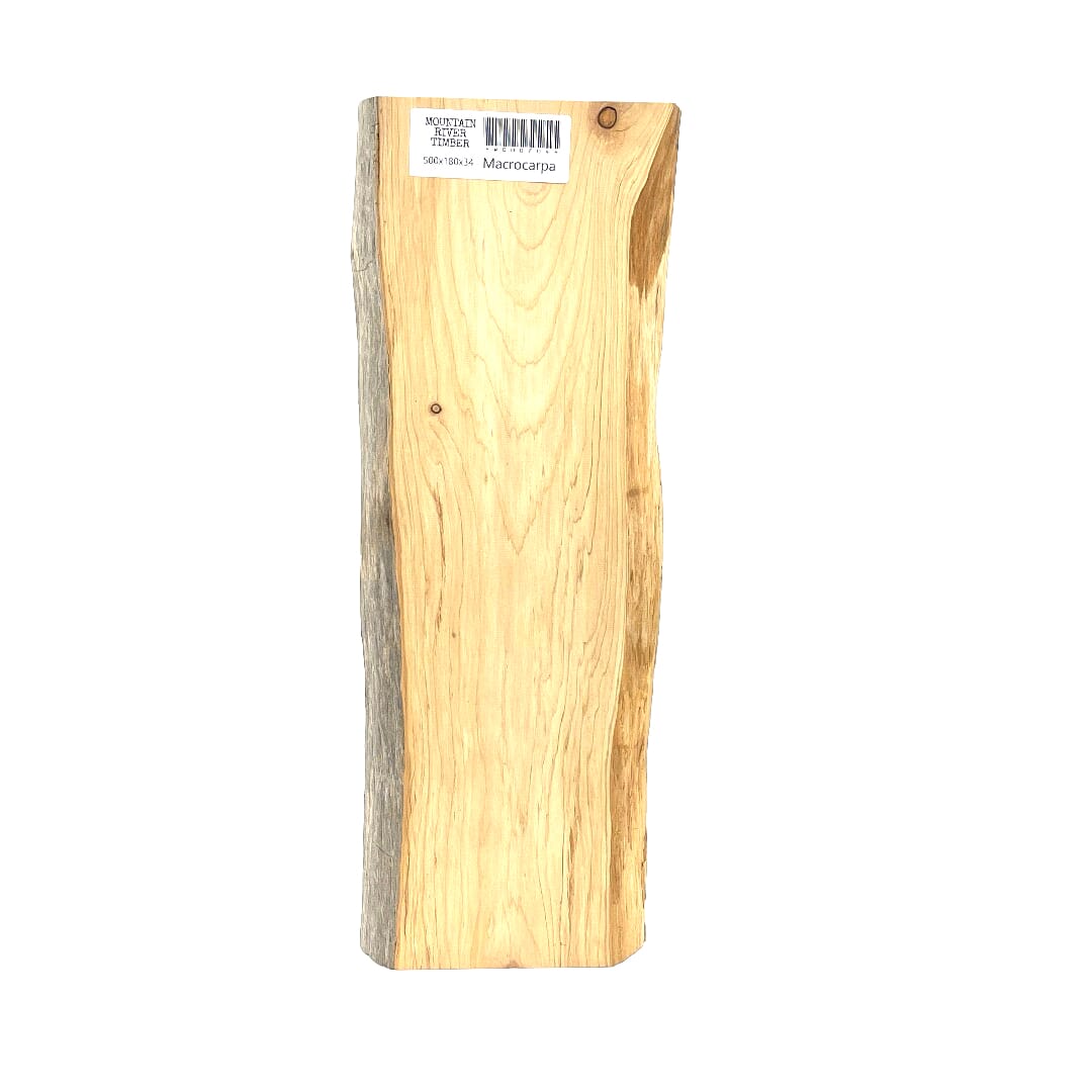 Macrocarpa , Small Slabs, 500 X 180 X 34, Leg set, , Front Side